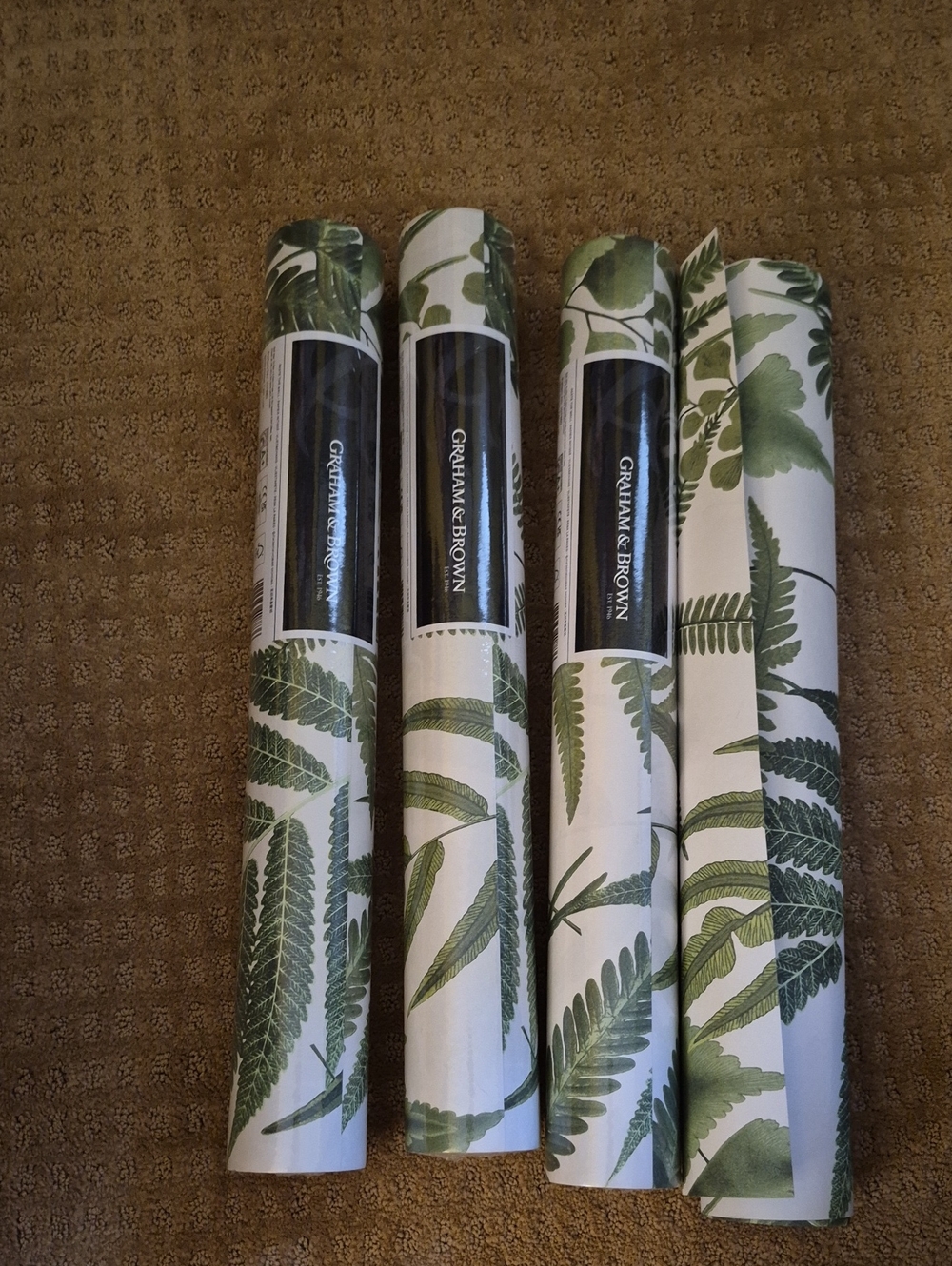 Graham & Brown Botanical Fern  Wallpaper Rolls - 3 Full Double Rolls 1 -3/4 Full
